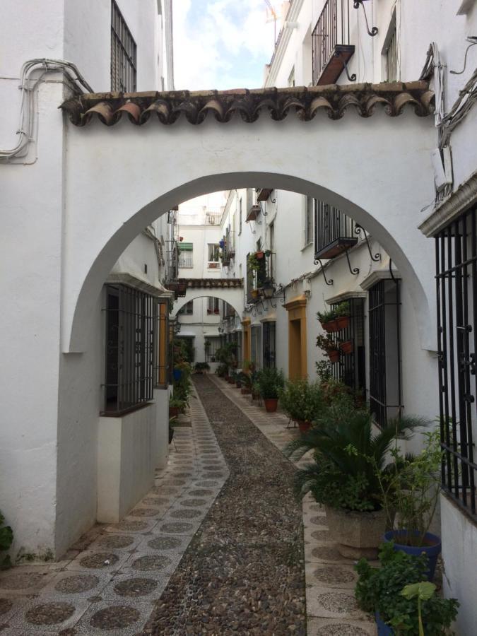 Lujosa Vivienda En Plena Juderia Διαμέρισμα Κόρδοβα Εξωτερικό φωτογραφία